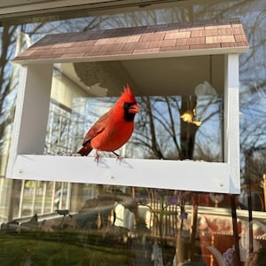 PVC Window Bird Feeder | Indoor/Outdoor Fill, Two Sizes