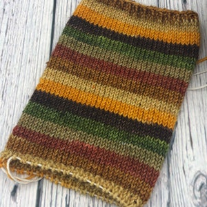 Hand dyed self striping sock yarn “fallen leaves”