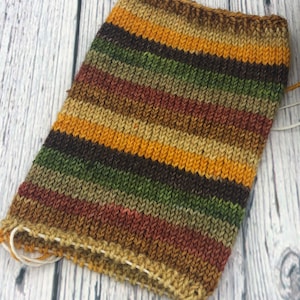 Hand dyed self striping sock yarn “fallen leaves”