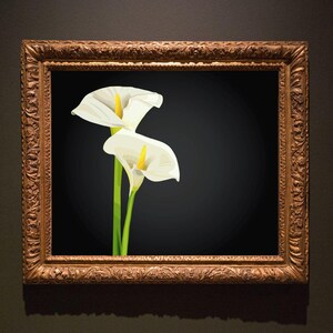 DIGITAL DOWNLOAD Calla Lily Printable | Wall Art Printable | Minimalist Floral Printable | Nature Printable Art | Botanical Art Printable