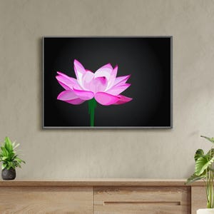Digital Download | Lotus Flower Art Print Wall Decor - Etsy