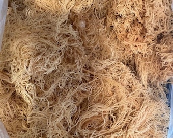 May include: A close-up of a large quantity of dried sea moss, a light brown color, in a clear plastic bag.