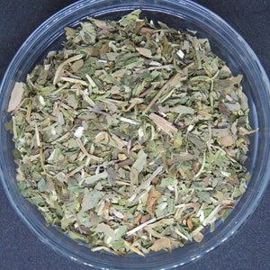20 Organic Ginkgo &quot;Mintea&quot; Bags