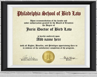 Customizable &quot;Bird Law diploma&quot; print - It&#39;s Always Sunny in Philadelphia - Wall Decor