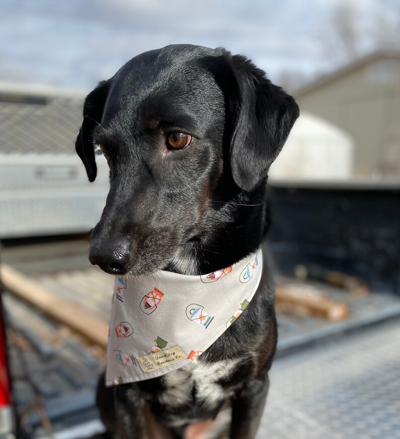 Camping Lantern Bandana Over The Collar Dog Bandana Tie On Dog Bandana Light Me Up Bandana