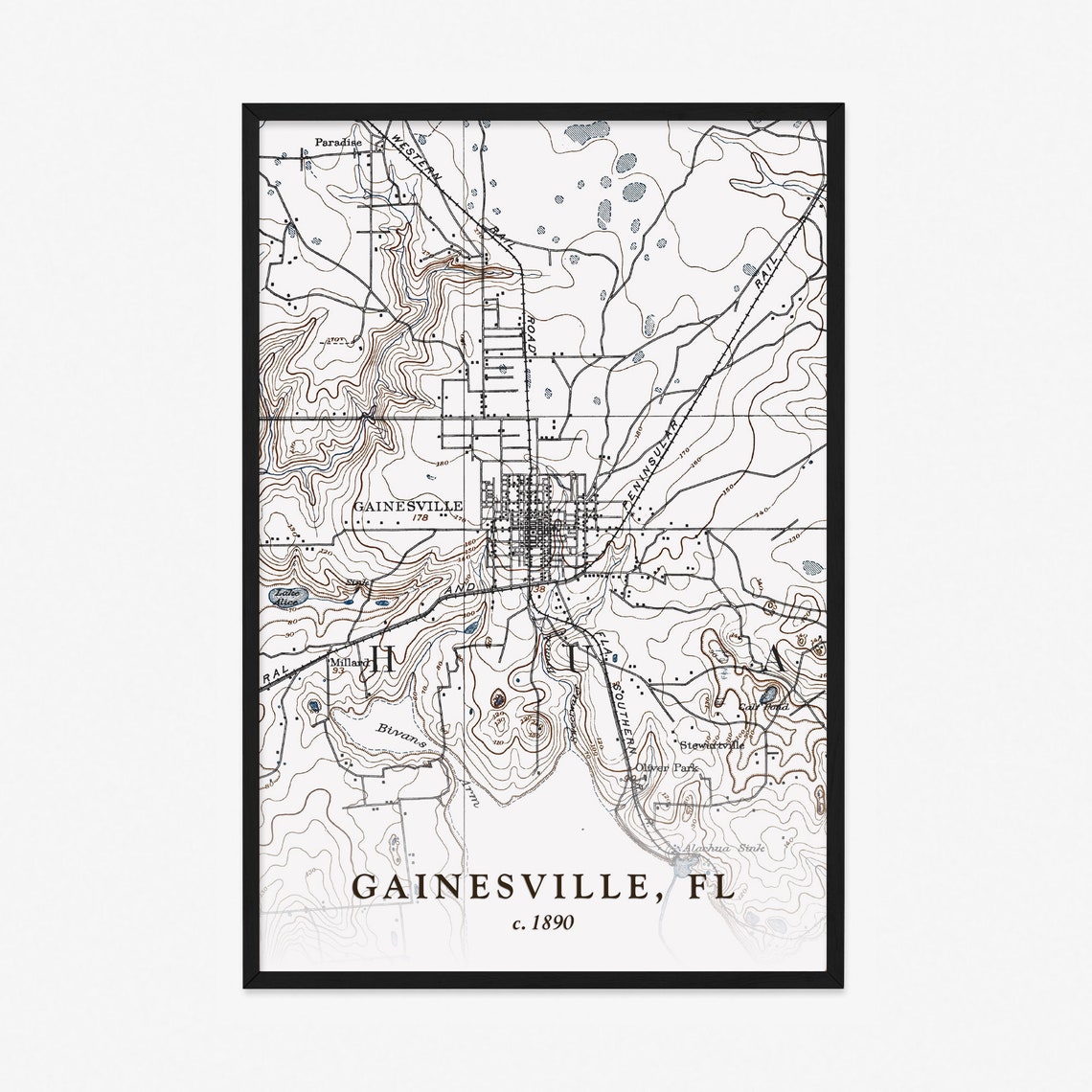 Gainesville Map Historic Topographic Map 1890 Historic - Etsy