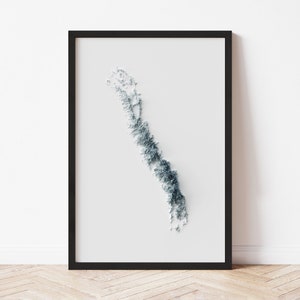 Sierra Nevada Topographic Map: Minimalist Style Giclée Print