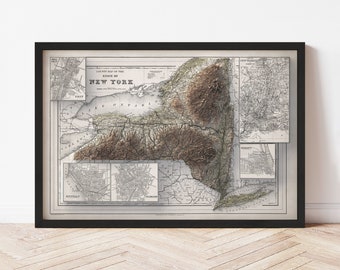 New York Map  (1886) - Elevation Map - Map Art - Topographic - Terrain - Relief - Geologic - 3D Effect (Flat Print) - Gift
