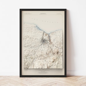 Mappa topografica di Rochester: stampa giclée stile vintage 1920