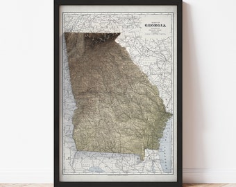 Georgia Map  (1901) - Elevation Map - Map Art - Topographic - Terrain - Relief - Geologic - 3D Effect (Flat Print) - Gift