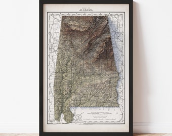 Alabama Map  (1891) - Elevation Map - Map Art - Topographic - Terrain - Relief - Geologic - 3D Effect (Flat Print) - Gift