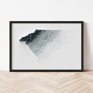 The Carolinas Minimalist Relief Map - Elevation Map - Map Art - Topographic - Terrain - Relief - Geologic - 3D Effect (Flat Print) - Gift