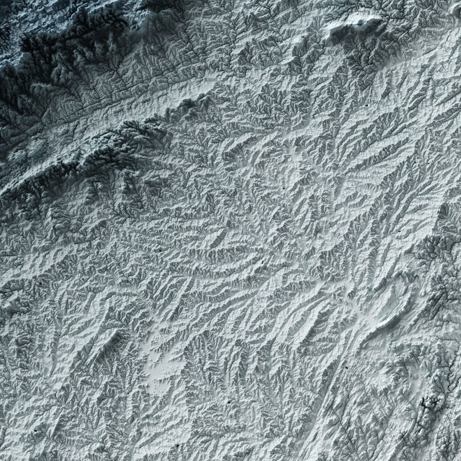 North Carolina Map Modern Relief Map Stylized with Digital | Etsy