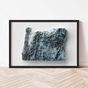 Oregon Minimalist Relief Map - Elevation Map - Map Art - Topographic - Terrain - Relief - Geologic - 3D Effect (Flat Print) - Gift