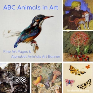 Könnte beinhalten: Eine Collage von Bildern mit Tieren in der Kunst. Das obere Bild zeigt einen bunten Eisvogel, der auf einem Ast sitzt. Weitere Bilder zeigen ein Zebra, eine Katze, eine Schlange, Schmetterlinge und eine Seeanemone. Der Text "ABC Animals in Art" befindet sich oben auf der Collage.