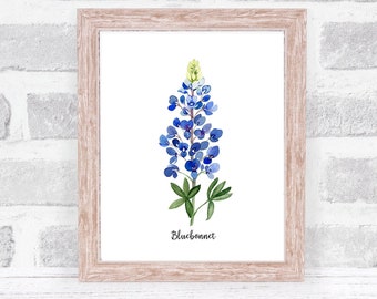 Bluebonnet Watercolor Art Print: Texas Wildflower Illustration