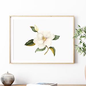 Watercolor Magnolia Print: Botanical Southern Flower Art