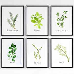 Kitchen Herb Wall Art, Watercolor Herbs, Herb Print Set, Kitchen Herb print Collection