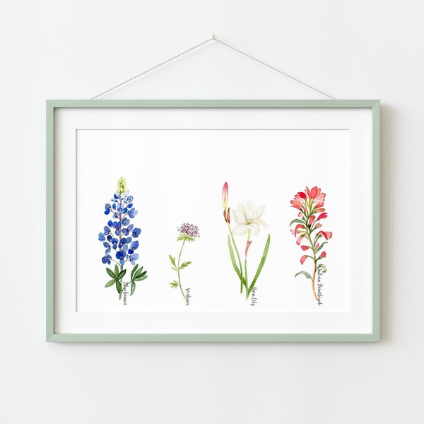 Texas Wildflowers Artwork, Spring Wildflower Print, Bluebonnet Wall Decor