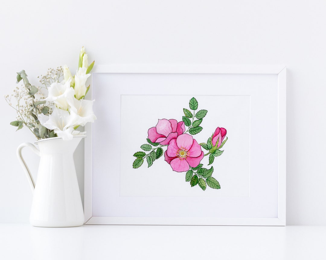Pink Wild Rose Watercolor Art Print: Botanical Floral Wall Decor - Etsy