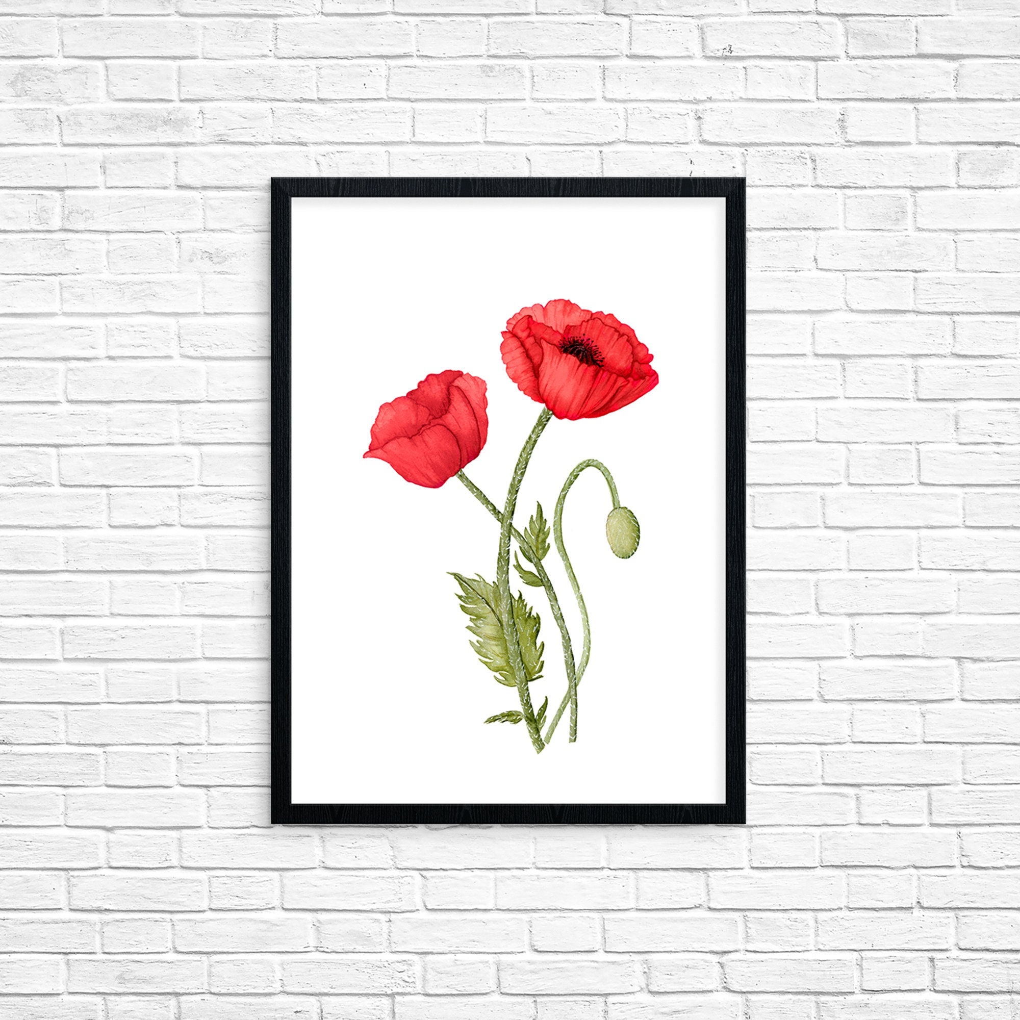 Red Poppy Watercolor Print: Botanical Floral Wall Art - Etsy