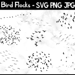 Flock of Birds svg bundle, SVG, JPG, PNG, Commercial Use, Digital Cut Files for Cricut / Silhouette, Transparent Background, Flying Bird