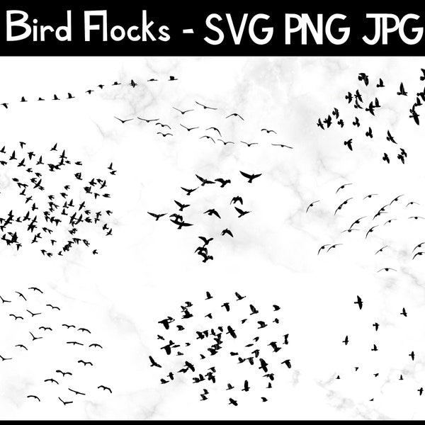 Flock von Vögeln Svg Bundle, SVG, JPG, PNG, kommerzielle Nutzung, digitale geschnittene Dateien für Cricut / Silhouette, transparenten Hintergrund, fliegenden Vogel