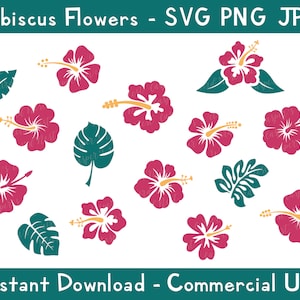 Flores de hibisco, SVG, PNG, JPG, archivo de corte digital, uso comercial, descarga instantánea, descarga digital, archivo para Cricut, Hawaii, paquete de flores