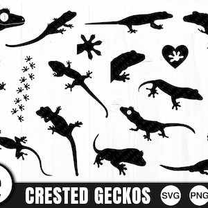 Paquete SVG de geco crestado, archivos de corte de reptil (descarga digital)