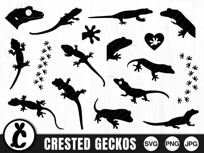Crested Gecko SVG-bundel, reptiel gesneden bestanden (digitale download) afbeelding 1