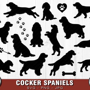 Könnte beinhalten: Eine Sammlung schwarzer Cocker Spaniel Silhouetten in verschiedenen Posen, darunter rennend, sitzend und stehend. Das Bild zeigt auch Pfotenabdrücke, ein Herz mit einem Pfotenabdruck und einen Knochen. Der Text "COCKER SPANIELS" ist auf einem Banner zu sehen.