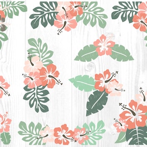 Tropische bloemen gesneden bestandenbundel - SVG, PNG, JPG, digitale vectorbestanden - Commercieel gebruik, Instant Download, Transparante achtergrond, Hibiscus