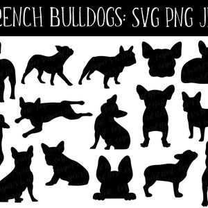 Franse Bulldog silhouet bundel, SVG, PNG, JPG, digitale snijbestanden, commercieel gebruik, transparante achtergrond, Instant Download, klaar om te knippen