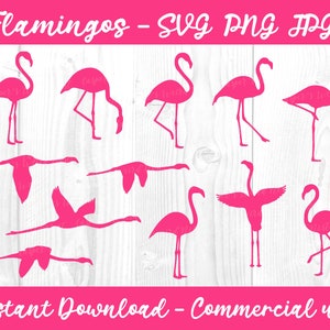 Pink Flamingos Bundle - SVG, PNG, JPG - Commercial Use, Instant Download, Flamingo svg, Flamingo Standing, Bird svg, Lawn Flamingo, Cut File