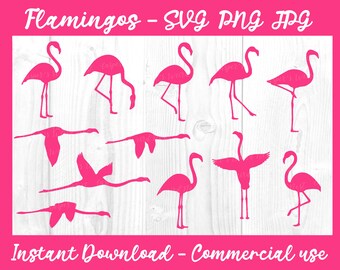 Pink Flamingos Bundle - SVG, PNG, JPG - Commercial Use, Instant Download, Flamingo svg, Flamingo Standing, Bird svg, Lawn Flamingo, Cut File