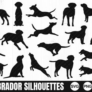 Labrador Silhouette Bundle, SVG, PNG, JPG, Digital Schnitt Datei, kommerzielle Nutzung, Transparenter Hintergrund, Sofort Download, bereit zum Schneiden, Hund