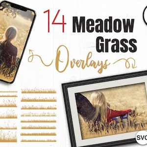 Meadow Photo Overlays, Transparent PNG, Commercial Use, Transparent Background, Digital Backdrop, Photoshop Overlay, Instant Download, Grass