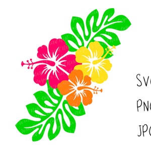 Tropical Hibiscus Flowers - SVG, PNG, JPG, digital cut files - Commercial Use, Instant Download, Transparent Background, Files for Cricut