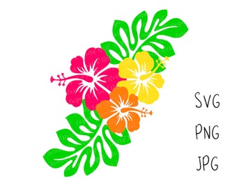 Tropical Hibiscus Flowers - SVG, PNG, JPG, digital cut files - Commercial Use, Instant Download, Transparent Background, Files for Cricut