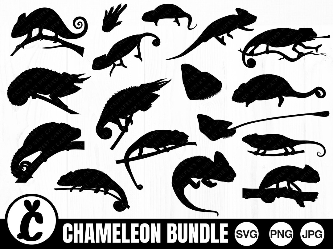Chameleon Bundle - SVG, PNG, JPG - Commercial Use, Digital Cut Files ...