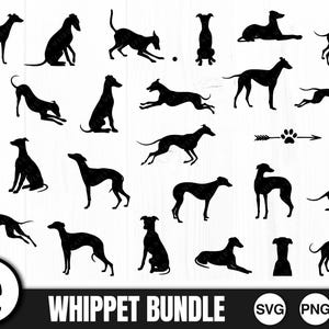 Whippet Dog Silhouette Bundle, SVG, PNG, JPG, Digital Cut Files, Commercial Use, Transparent Background, Instant Download, Ready to cut, Pup