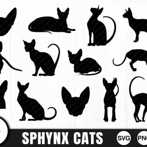 Chats Sphynx, lot de silhouettes, SVG, PNG, JPG, fichier de coupe numérique, téléchargement numérique, usage commercial, téléchargement immédiat, Kitty, clipart chat