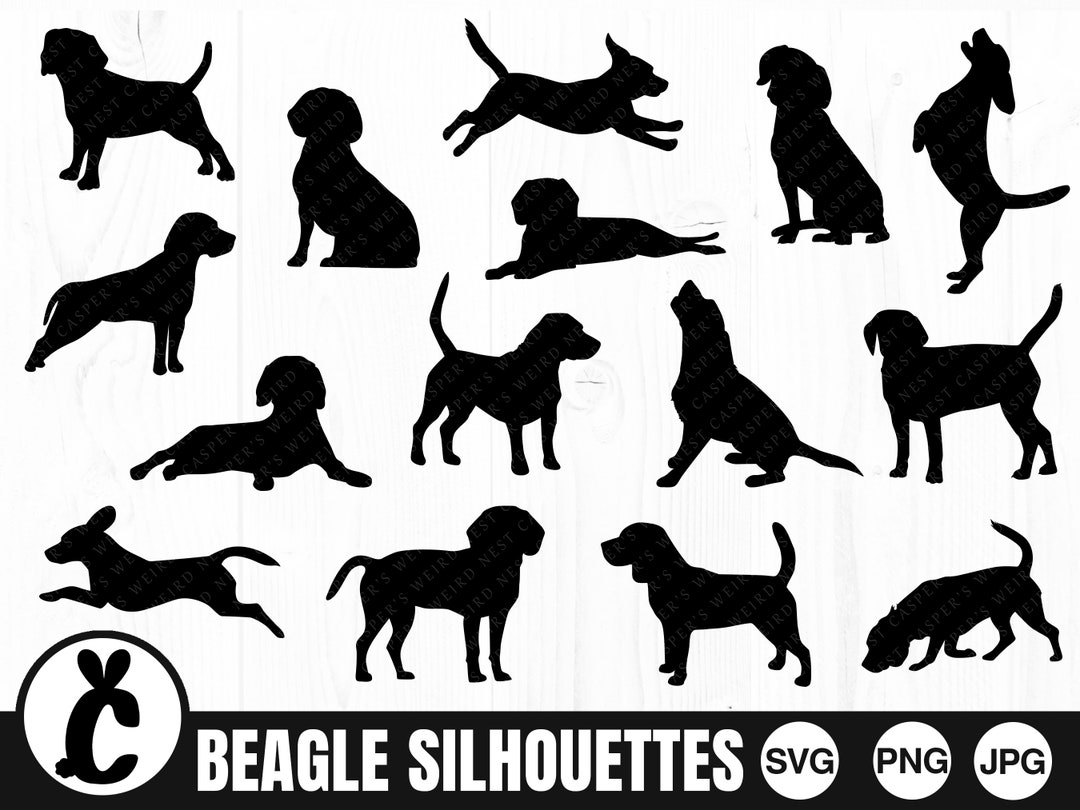 Beagle Silhouette Bundle, SVG, PNG, JPG, Digital Cut File, Commercial ...