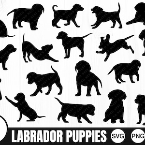 Labrador Puppies, SVG, PNG, JPG, Digital Cut Files, Commercial Use, Digital Download, Instant Download, Ready to cut, Dog Svg, Puppies
