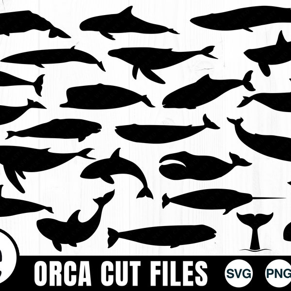 Whale Silhouettes -  SVG, PNG, JPG - Commercial Use, Digital Cut File, Whale Clipart, Digital Download, Instant Download, Killer Whale, Orca