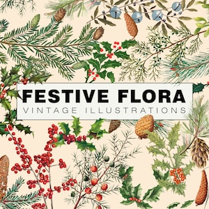 May include: Vintage illustration featuring festive flora, including pine cones, holly with red berries, and evergreen branches. The text "FESTIVE FLORA VINTAGE ILLUSTRATIONS" is displayed in a white rectangle against a cream background.