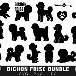 Bichon Frise, Silhouette Bundle, SVG, PNG, JPG, Digital Cut File, Commercial Use, Transparent Background, Instant Download, Ready to cut