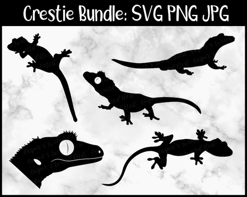 Op de afbeelding: Een digitale download van vier zwarte silhouetbeelden van gekko's met kuif in verschillende poses. De afbeeldingen zijn geschikt voor gebruik in knutselprojecten, digitaal ontwerp en andere creatieve projecten.