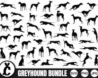 Windhund-Silhouette-Bundle, kommerzielle Nutzung (SVG, PNG, JPG)