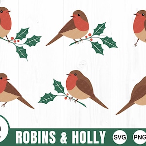 Pacote Robins e Holly - SVG, PNG, JPG, arquivo de corte digital - uso comercial, download instantâneo, Holly Svg, Robin Svg, Robin de Natal, festivo